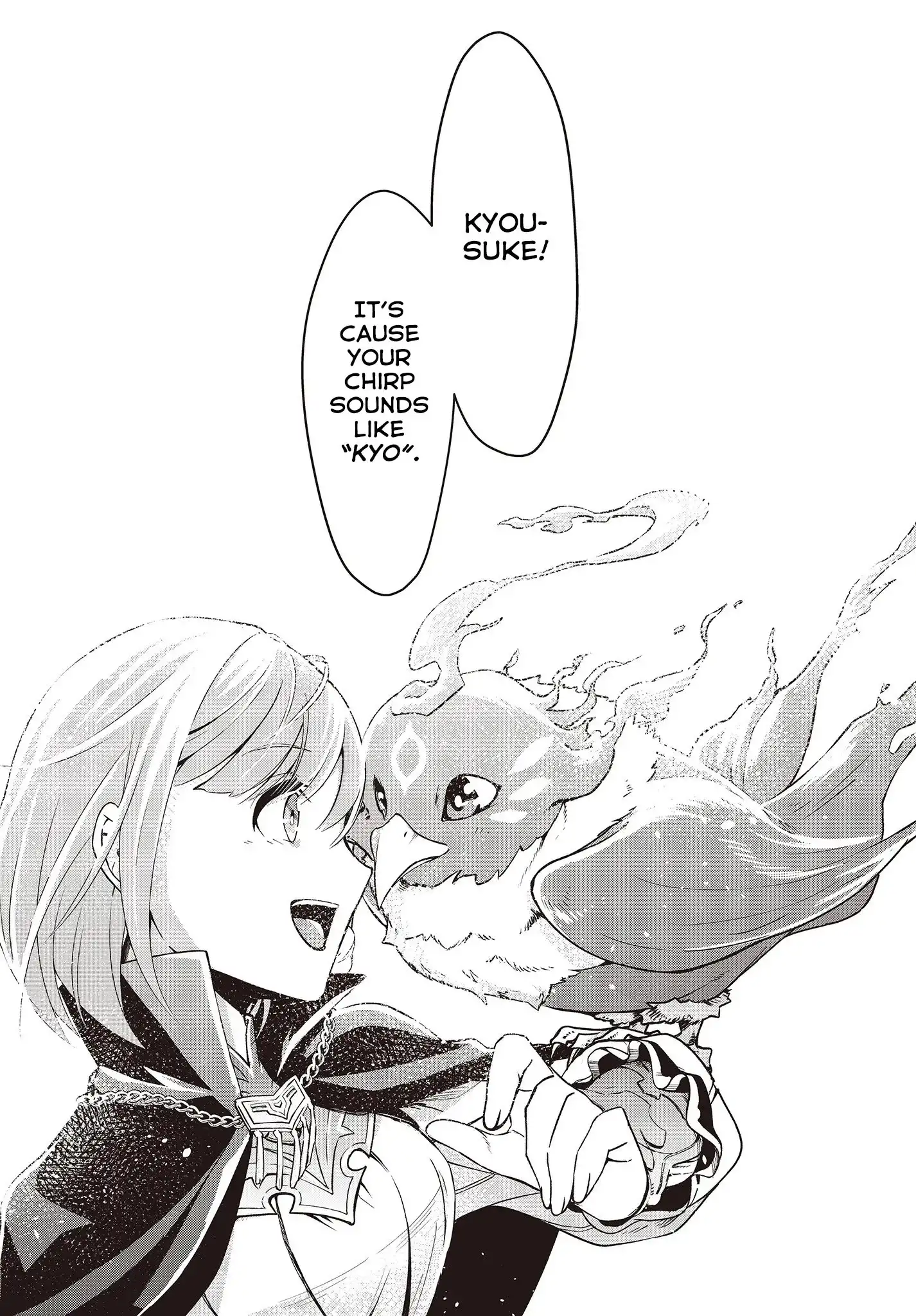 Reborn as a Phoenix: A Normal Bird Can't Beat a Dragon, Right? Chapter 1 20